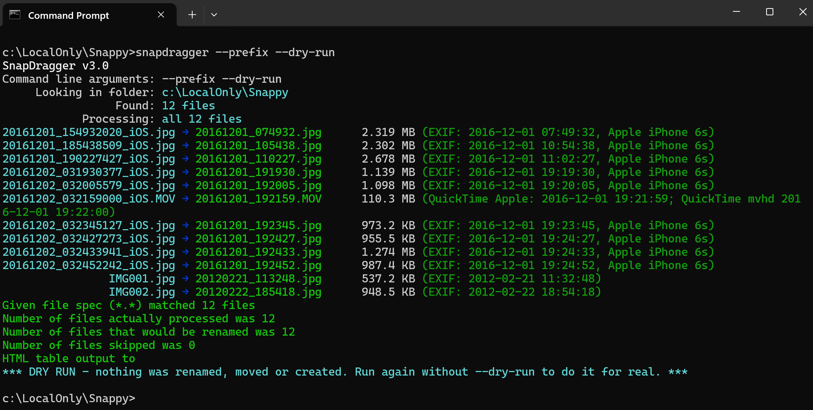 A SnapDragger dry run showing the name each of twelve files would be given, and a closing line reading DRY RUN - nothing was renamed, moved or created